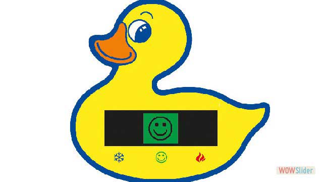 term�metro de ba�o para beb�s